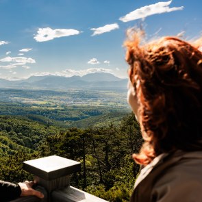 Ausblick von der Aussichtswarte Lanzenkirchen-Wiesen, © Wiener Alpen/Fülöp, Kremsl Ausblick von der Aussichtswarte Lanzenkirchen-Wiesen, © Wiener Alpen/Fülöp, Kremsl