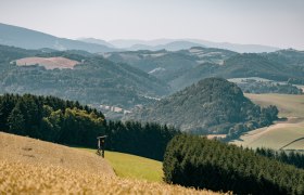 Hügelige Landschaft in Bad Schönau mit Feldern und Wäldern, © Wiener Alpen Hügelige Landschaft in Bad Schönau mit Feldern und Wäldern, © Wiener Alpen