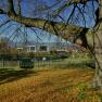 Gartenlofts im Herbst, © Gut Guntrams Herbstlandschaft mit Baum, Laub und modernen Gebäuden im Hintergrund.