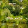 Pure relaxation, © Wiener Alpen/Martin Fülöp A peaceful garden with sun loungers by the pond, surrounded by trees and green vegetation.