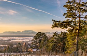 Winder am Blickplatz Eichbüchl, © Wiener Alpen, Florian Luckerbauer Winterlandschaft mit Bäumen und Bergen im Hintergrund bei Sonnenuntergang.