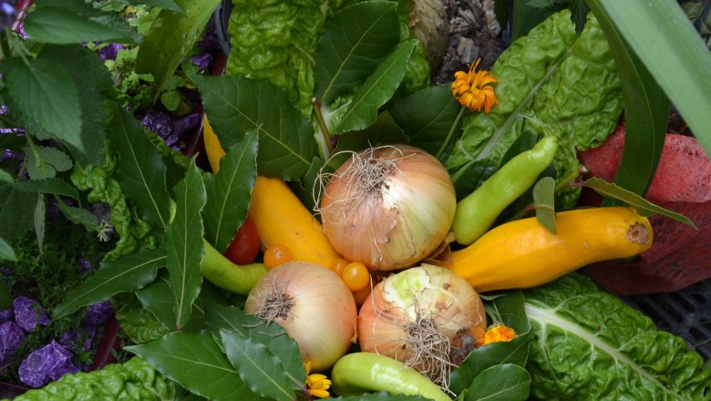 Salad and vegetables in abundance, © Naturgartenparadies Beisteiner Various vegetables and salad leaves arranged in a basket.