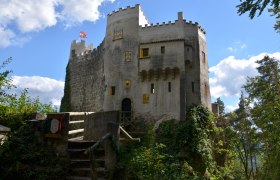 Burg Grimmenstein, © Marktgemeinde Grimmenstein Burg Grimmenstein mit Brücke, Zinnen und blau-gelb gestrichenen Fensterläden im Grünen.