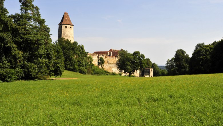 Seebenstein Castle, © POV Seebenstein Castle with tower and green meadow in the foreground.