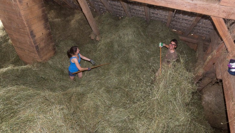 during haymaking, © Wachahof Two people working in a hayloft with pitchforks.