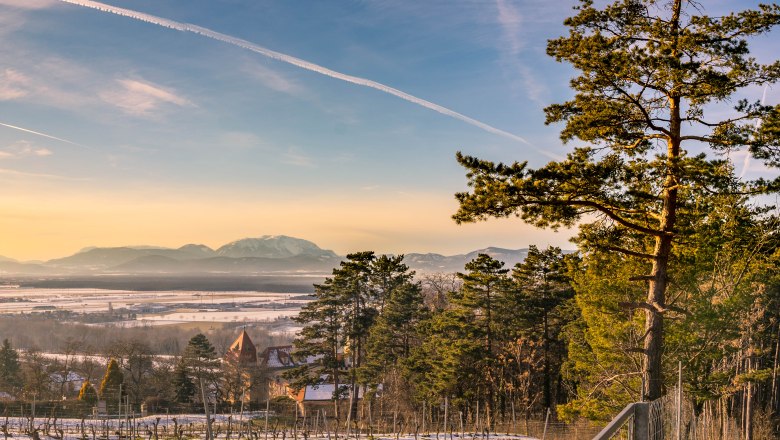 Winder at the Eichbüchl viewpoint, © Wiener Alpen, Florian Luckerbauer Winder at the Eichbüchl viewpoint, © Wiener Alpen, Florian Luckerbauer