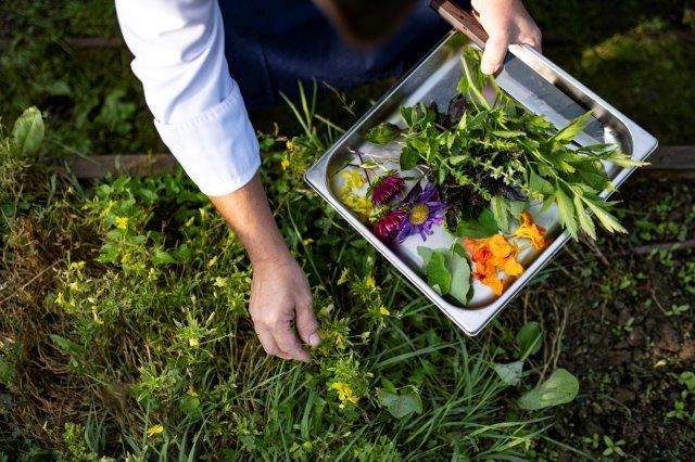 Triad Garten, © Platzhirschmarketing / Gobauer Triad Garten, © Platzhirschmarketing / Gobauer