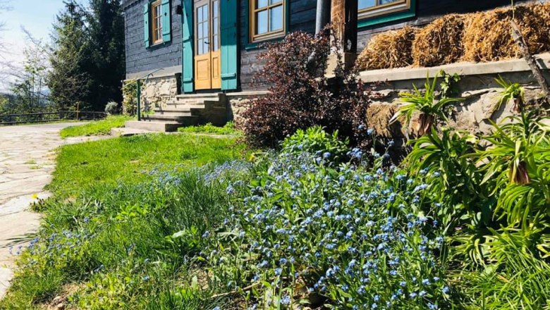 Vergissmeinnicht, © Seminarhotel NaturSinne Ein Haus mit grünen Fensterläden und einer Holzveranda, umgeben von blühenden Vergissmeinnicht und grüner Vegetation.
