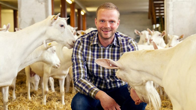 Goat farm, © Sooo gut schmeckt die Bucklige Welt/Viktoria Kornfeld A man in a checked shirt kneels in a stable full of white goats.