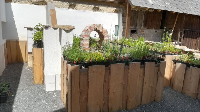Naturgartenparadies Beisteiner - Salesroom, © Wiener Alpen Sales room with plants in wooden crates and rustic decoration.