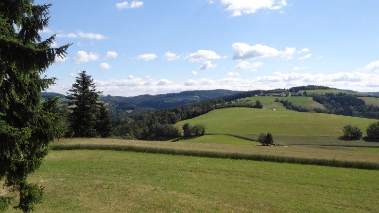 Ausblick von der Dreiländereck Aussichtswarte, © Marktgemeinde Hochneukirchen-Gschaidt Grüne Hügel und Bäume unter blauem Himmel mit Wolken.