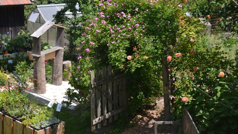 Natural garden paradise Beisteiner, © Naturgartenparadies Beisteiner A flowering garden with a wooden gate, roses and plants in pots.