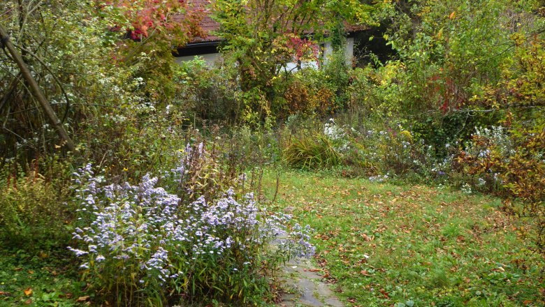 Autumn in the show garden, © Elke Guttmann An autumnal garden with colorful foliage and blooming flowers.