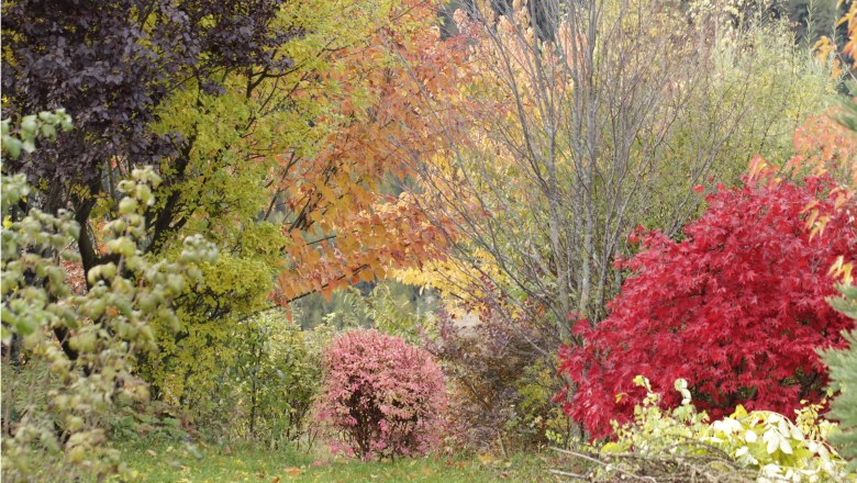 Ecolution.lab in the fall, © Bernd Hochwartner Colorful autumn trees and shrubs in the Ecolution.Lab.