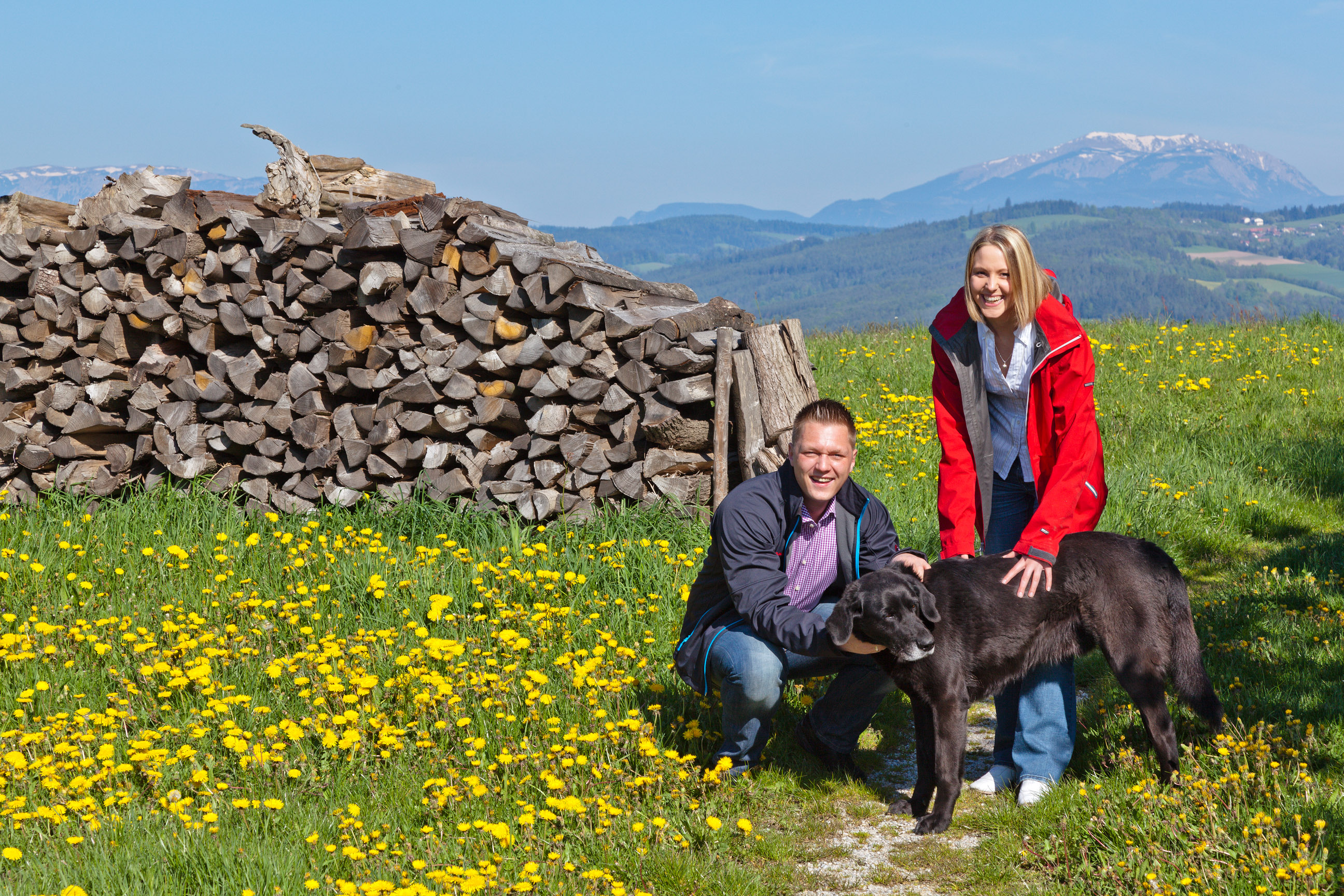 Urlaub Mit Hund Gardasee 9 Campingplätze am Gardasee mit Hundestrand