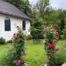 Ein Rosenbogen mit roten Rosen vor einer Kapelle mit bunten Fenstern und einem grünen Garten.