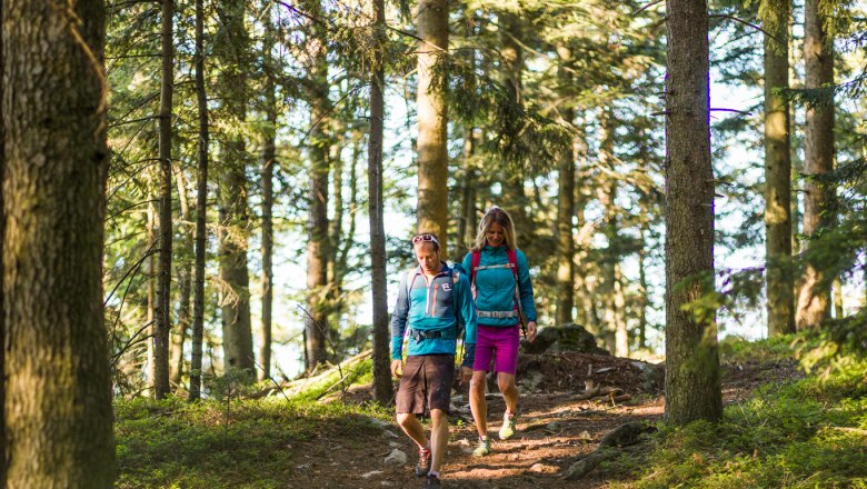 Zwei Personen wandern auf einem Waldweg, umgeben von hohen Bäumen.