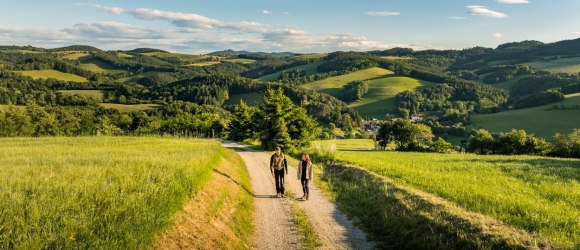 Zwei Wandernde auf einem Feldweg in grüner, hügeliger Landschaft, © Wiener Alpen in Niederösterreich - Bad Erlach