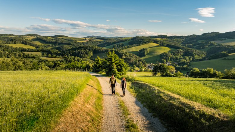 Am Bener, © Wiener Alpen/Fülöp, Kremsl