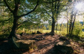 Ein Steinkreis im Wald mit Sonnenlicht, das durch die Bäume scheint.