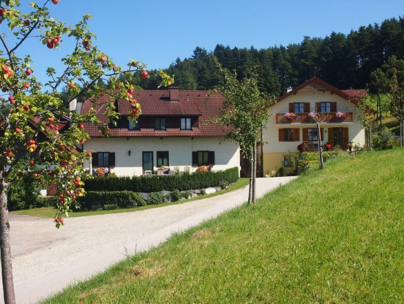 Zwei Häuser mit roten Dächern, umgeben von Bäumen und Wiese, bei sonnigem Wetter.