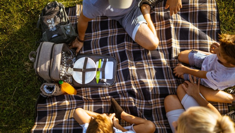 Picknicken mit der Familie, © Wiener Alpen, Kremsl