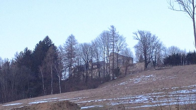 Ruine der Burg Thomasberg auf einem Hügel, umgeben von Bäumen.