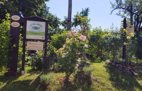 Entrance to a show garden with signs and roses in bloom.
