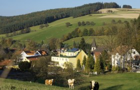 Ländliche Szene mit Kühen auf einer Wiese, Dorf im Hintergrund, umgeben von Hügeln und Wäldern.