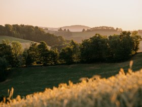 Grüne Landschaft bei Sonnenaufgang, © Wiener Alpen