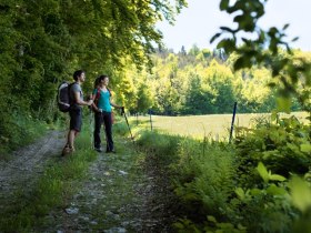 Wandern in der Buckligen Welt, © Wiener Alpen / Florian Lierzer