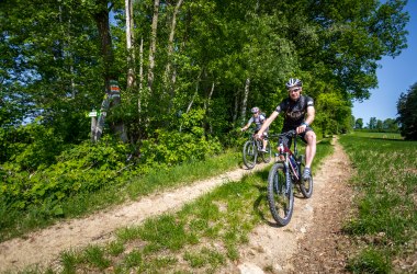 Mountainbike-Tour in Krumbach, © Wiener Alpen, Christian Kremsl