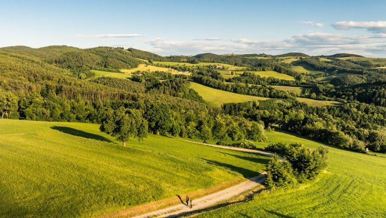 Landschaft mit gr&uuml;nen H&uuml;geln und einem Wanderweg, auf dem zwei Personen gehen.