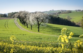 Spring in Austria’s “Bucklige Welt”, © Wiener Alpen, Franz Zwickl