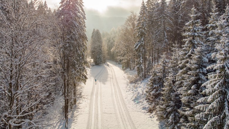 Langlaufen in Hochneukirchen-Gschaidt, &copy; Wiener Alpen, Martin F&uuml;l&ouml;p