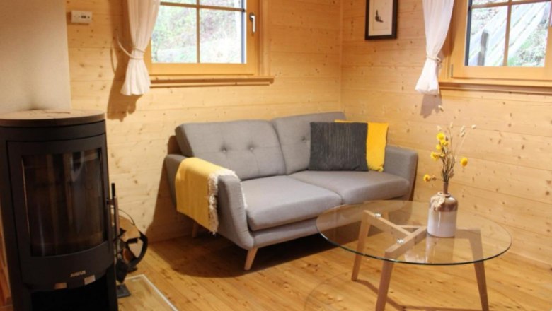 Cozy living room with grey sofa, wooden walls, fireplace and glass table.