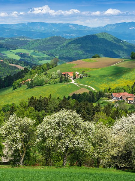 Landscape in spring, © Walter Strobl, www.audivision.at