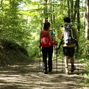 Hiking in the forest, © Wiener Alpen, Florian Lierzer