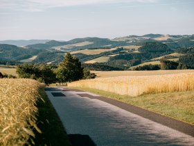 Landschaft mit Feldern, H&uuml;geln und einer schmalen Landstra&szlig;e in Kirchschlag, Aigen.