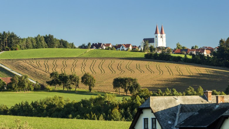 Landschaft mit den Spitzen der Wallfahrtskirche Maria Schnee und Feldern in Lichtenegg.