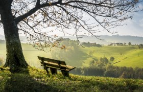 Enjoy autumn, © Wiener Alpen, Franz Zwickl