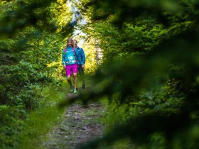 Forest path to Hutwisch, &copy; Wiener Alpen