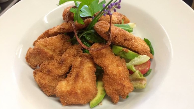 Ein Teller mit Salat und Gebackenem, garniert mit Kräutern.