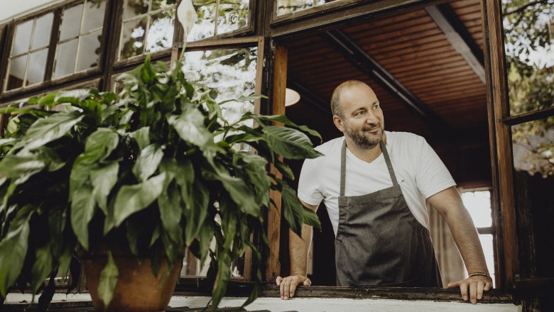 A man in an apron leans out of a window, a plant in the foreground.