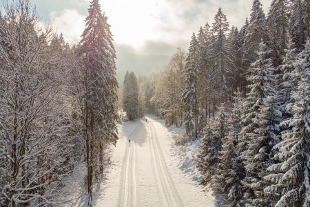 Langlaufen in Hochneukirchen-Gschaidt, &copy; Wiener Alpen, Martin F&uuml;l&ouml;p