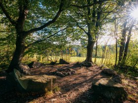 Ein Steinkreis im Wald mit Sonnenlicht, das durch die B&auml;ume scheint.