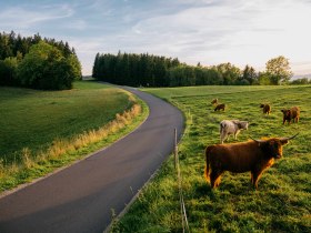 Dreil&auml;ndereckroute durch Gschaidt bei Hochneukirchen, &copy; Wiener Alpen, Roman K&ouml;nigshofer Photography