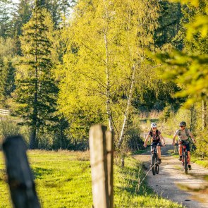 Cycling in autumn, © Wiener Alpen, Martin Fülöp