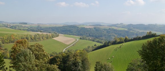 Walderlebnisweg Gschaidt, © Wiener Alpen in Niederösterreich - Bad Schönau