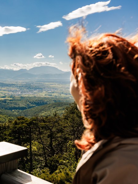 Ausblick von der Aussichtswarte Lanzenkirchen-Wiesen, © Wiener Alpen/Fülöp, Kremsl